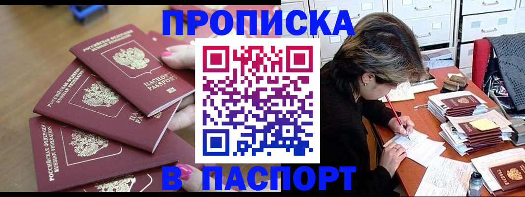 прописка штамп в Елизово